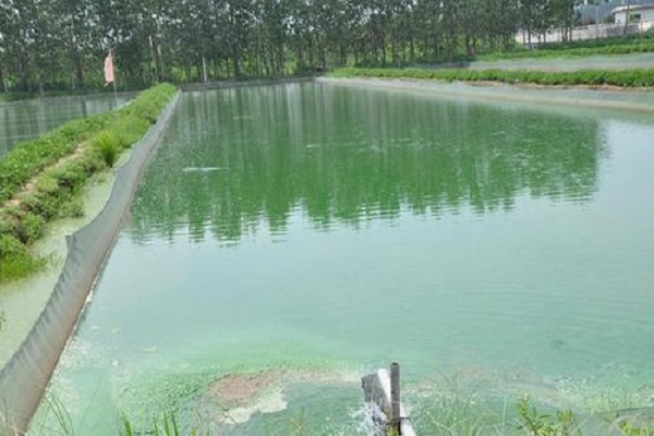 漁業(yè)養(yǎng)殖水質(zhì)檢測方法和標(biāo)準(zhǔn)